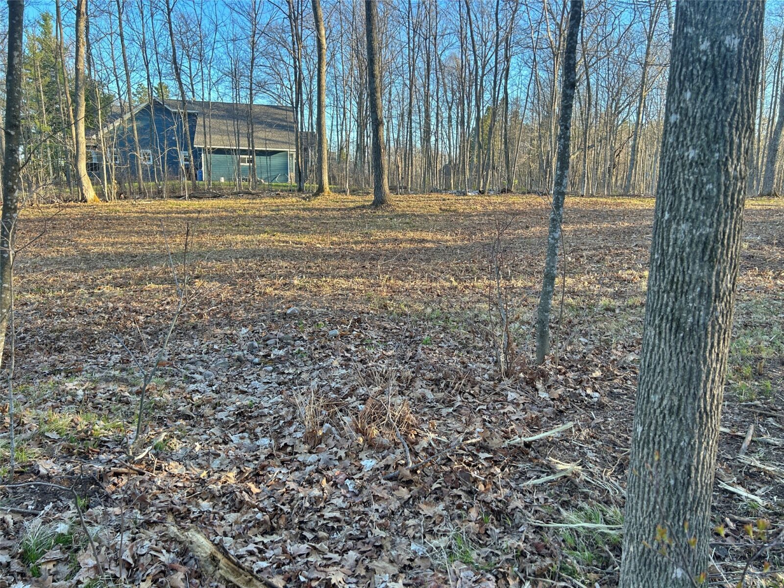 Land at 10358 White Bear Avenue, Hayward, WI 54843 — photo 9