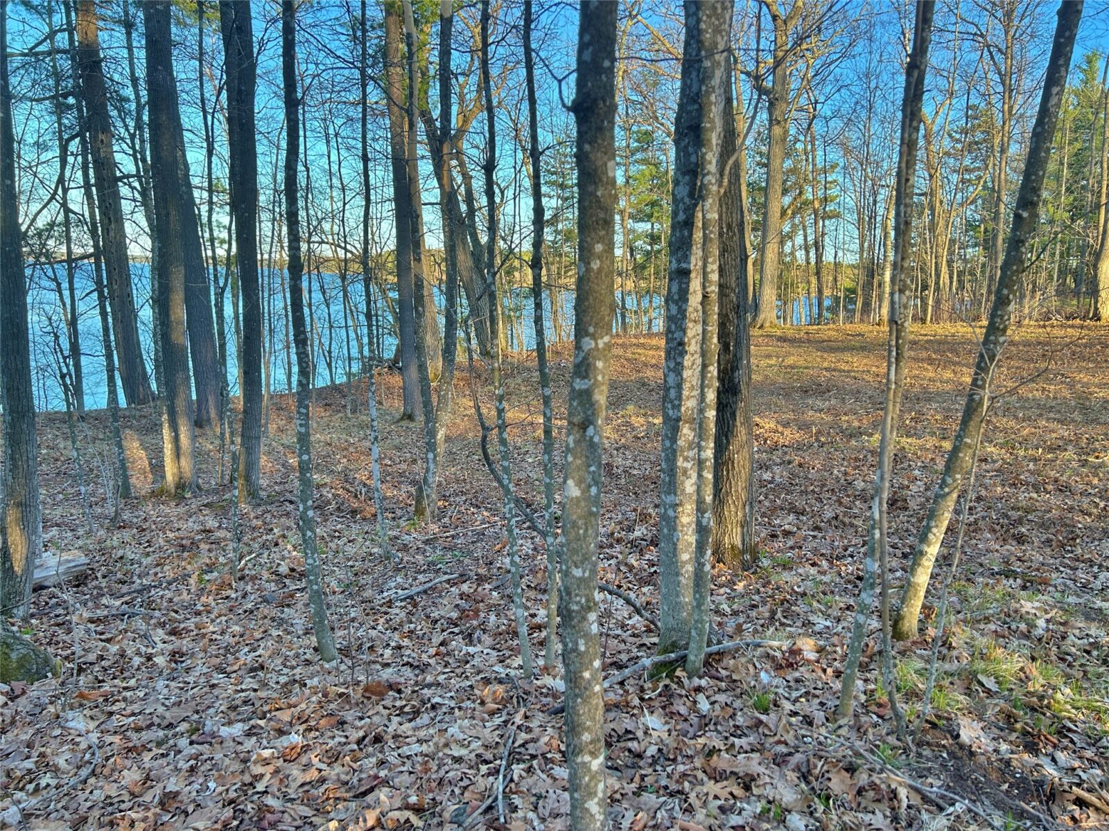 Land at 10358 White Bear Avenue, Hayward, WI 54843 — photo 10