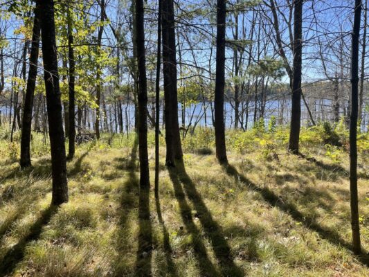 10385 Whispering Pine Road Drummond WI 54832 — photo 1