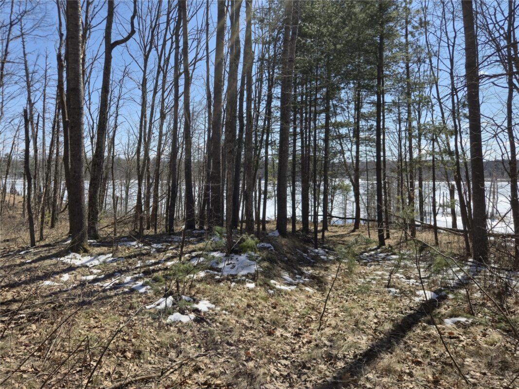 10385 Whispering Pine Road Drummond WI 54832 — photo 17