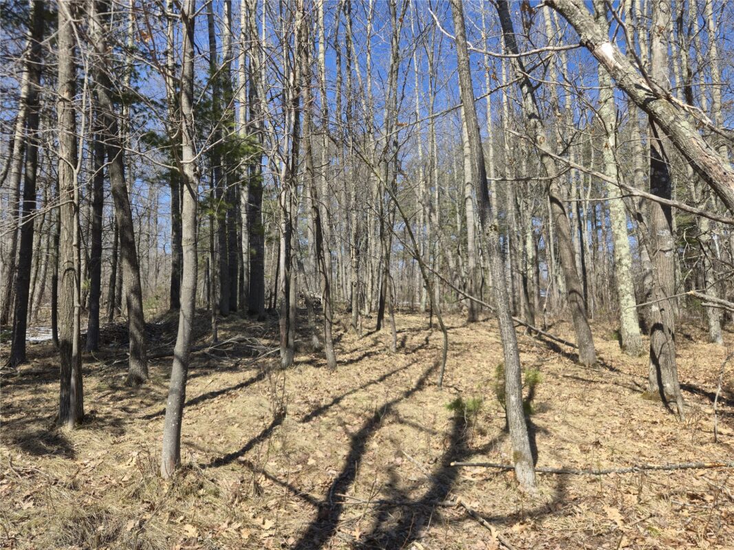 10385 Whispering Pine Road Drummond WI 54832 — photo 19