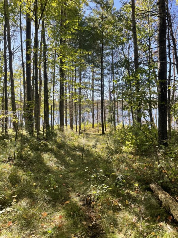 10385 Whispering Pine Road Drummond WI 54832 — photo 2