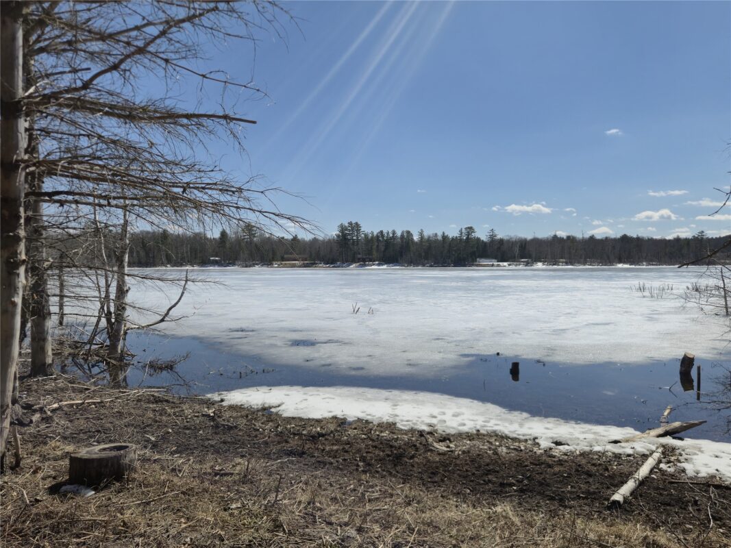 10385 Whispering Pine Road Drummond WI 54832 — photo 3
