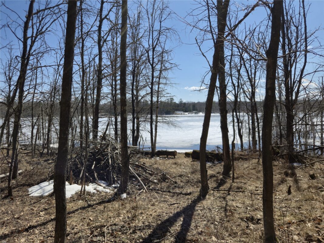 10385 Whispering Pine Road Drummond WI 54832 — photo 4