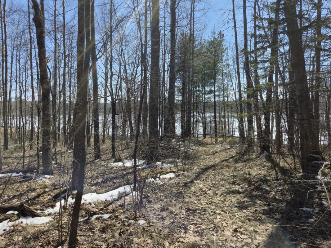 10385 Whispering Pine Road Drummond WI 54832 — photo 5
