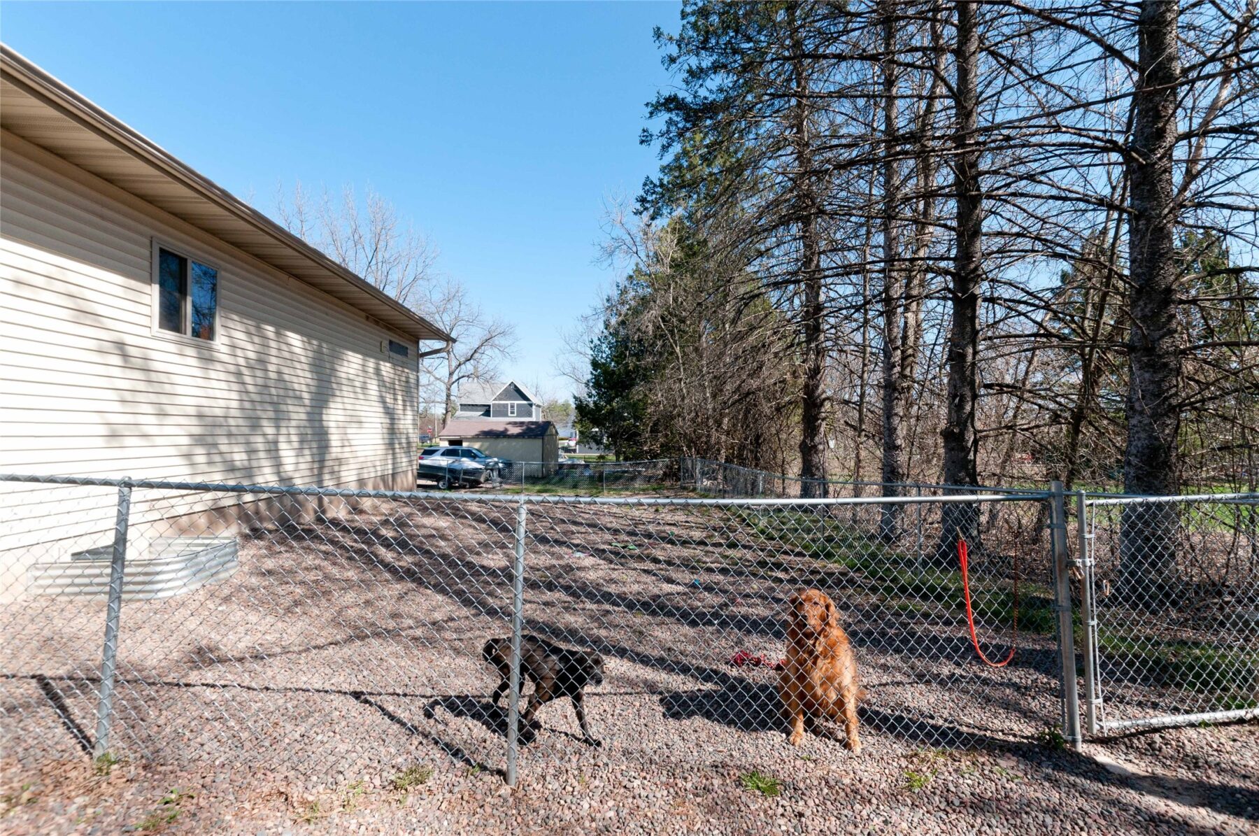 107 S Morey Street Birchwood WI 54817 — photo 5