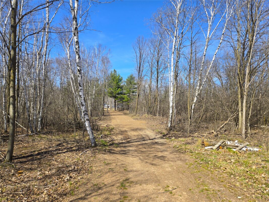 Land at 110 90th Ave, Clayton, WI 54004 — photo 7