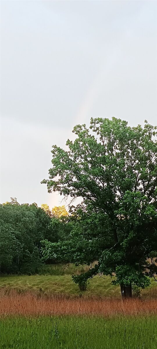 Residential at 11116 Blackberry Road, Trego, WI 54888 — photo 19