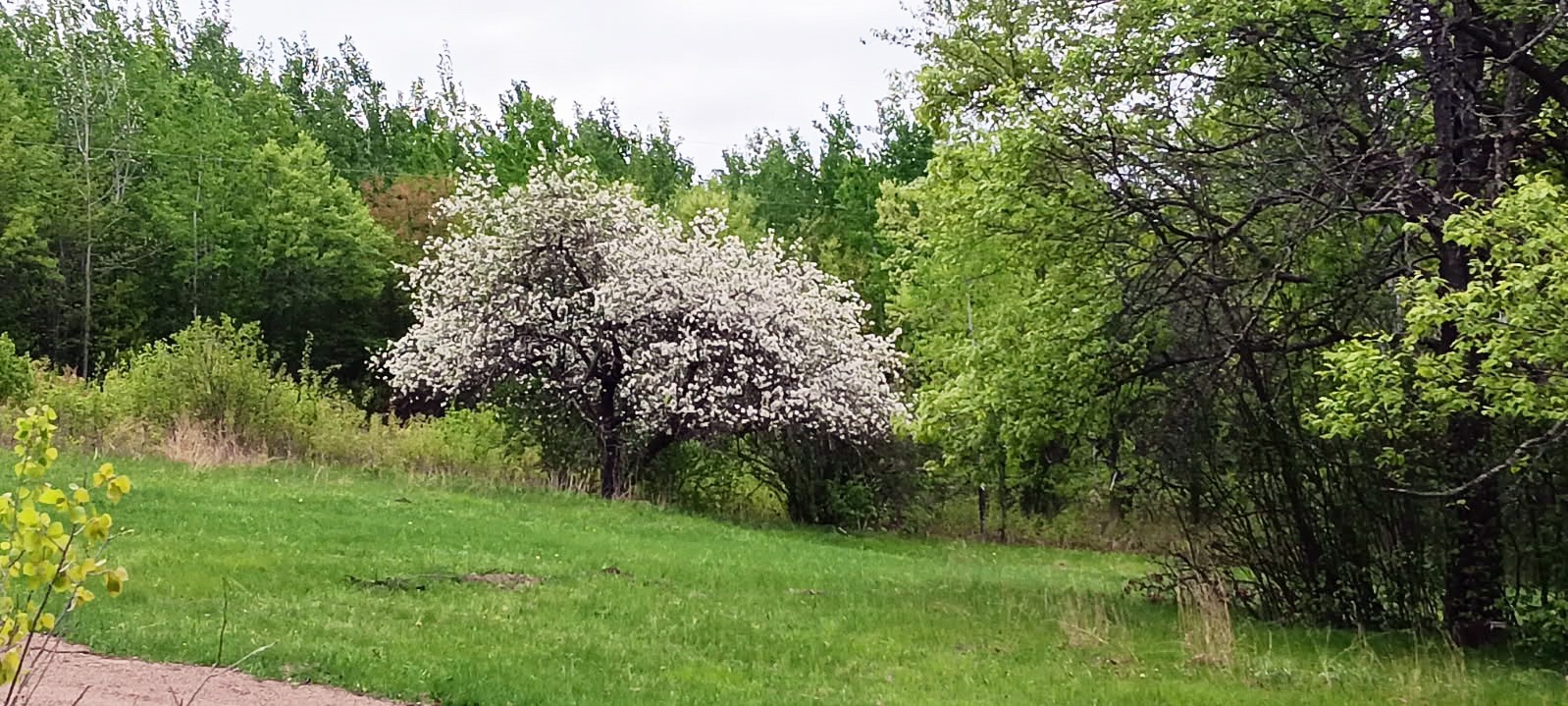 Residential at 11116 Blackberry Road, Trego, WI 54888 — photo 26