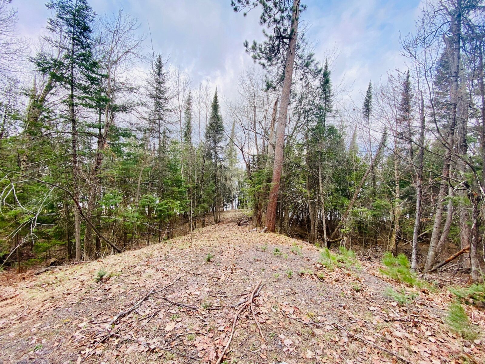 11171 S Engstad Road, Solon Springs, WI — photo 12