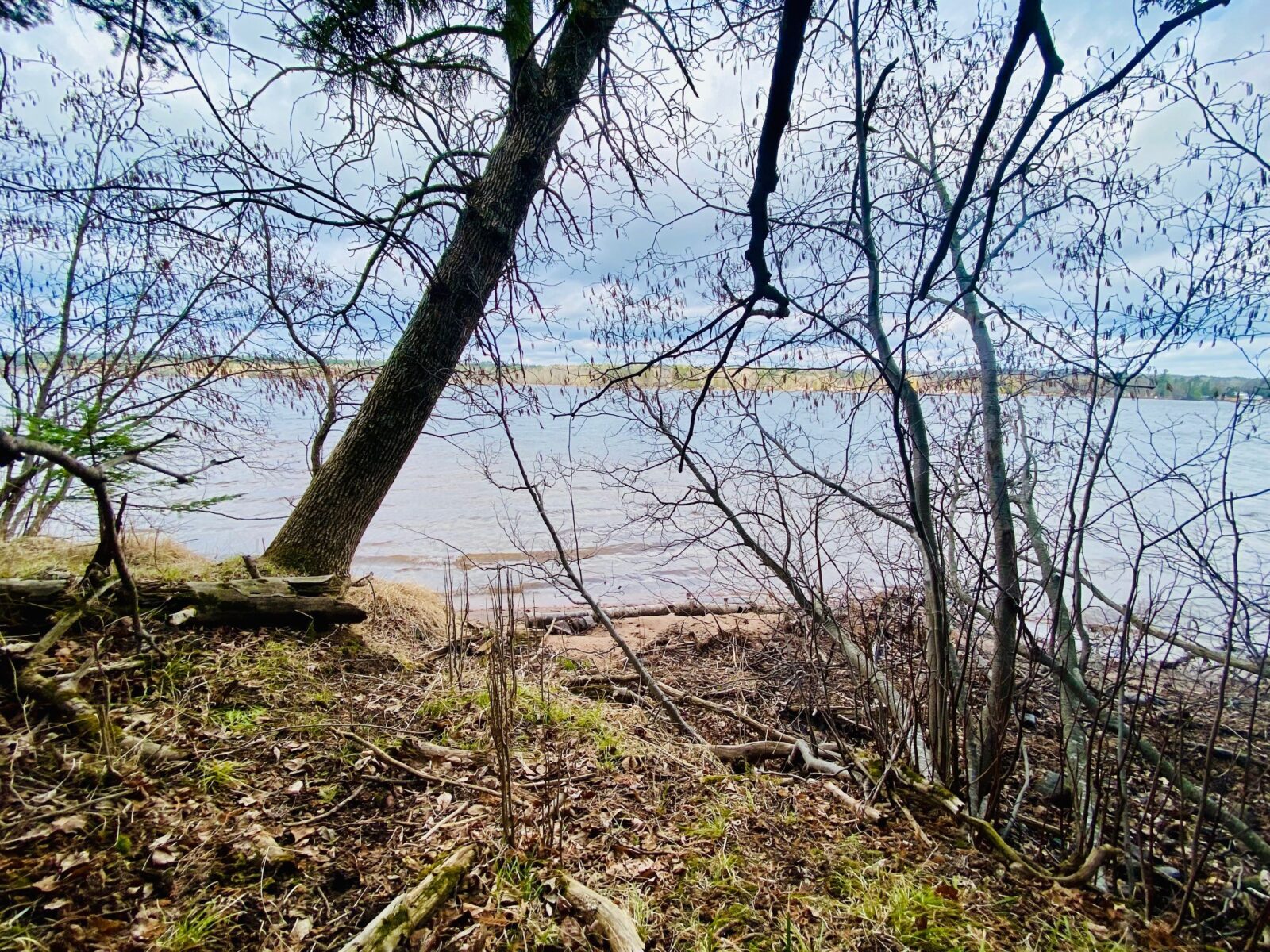 11171 S Engstad Road, Solon Springs, WI — photo 5