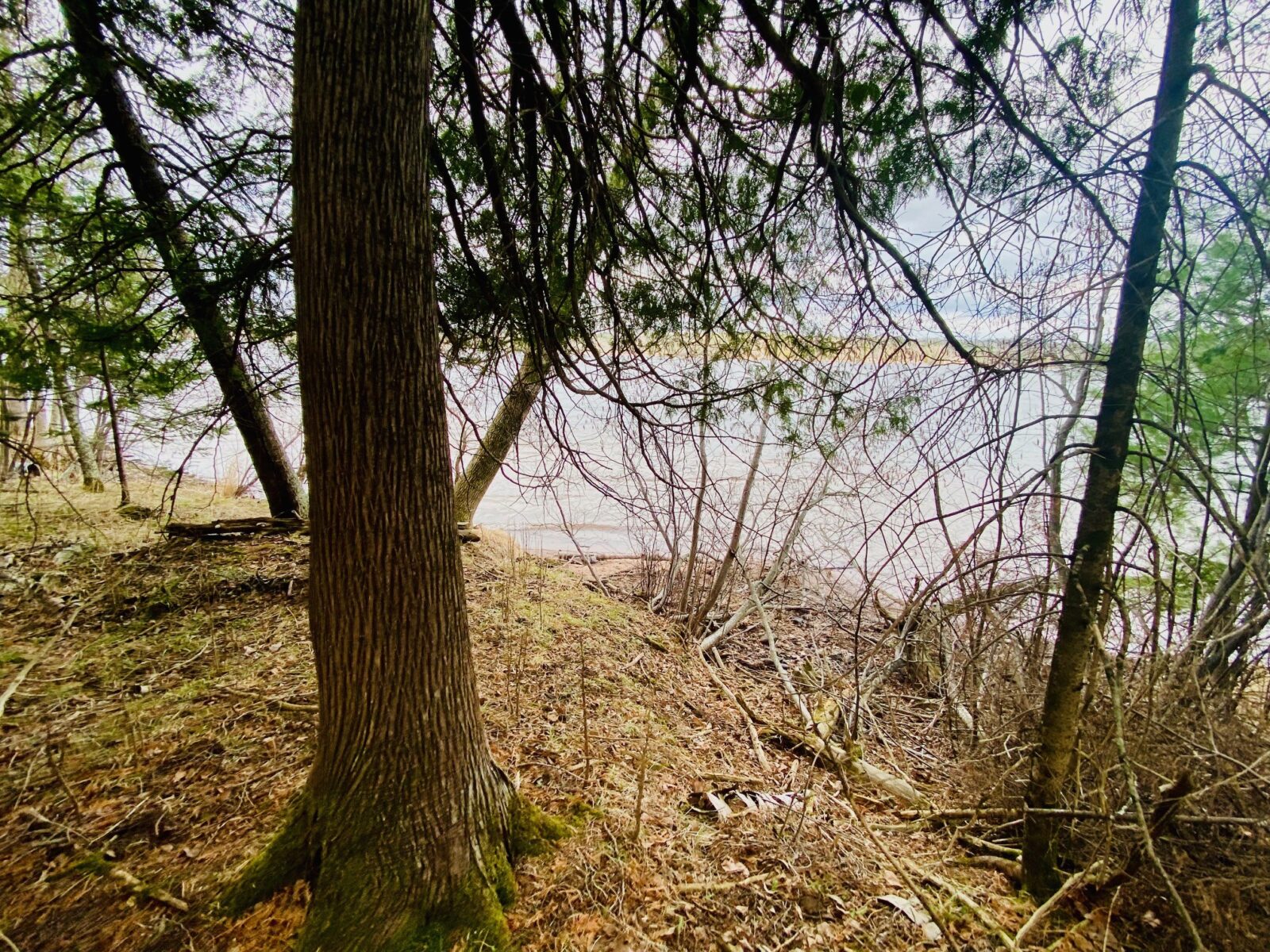 11171 S Engstad Road, Solon Springs, WI — photo 6