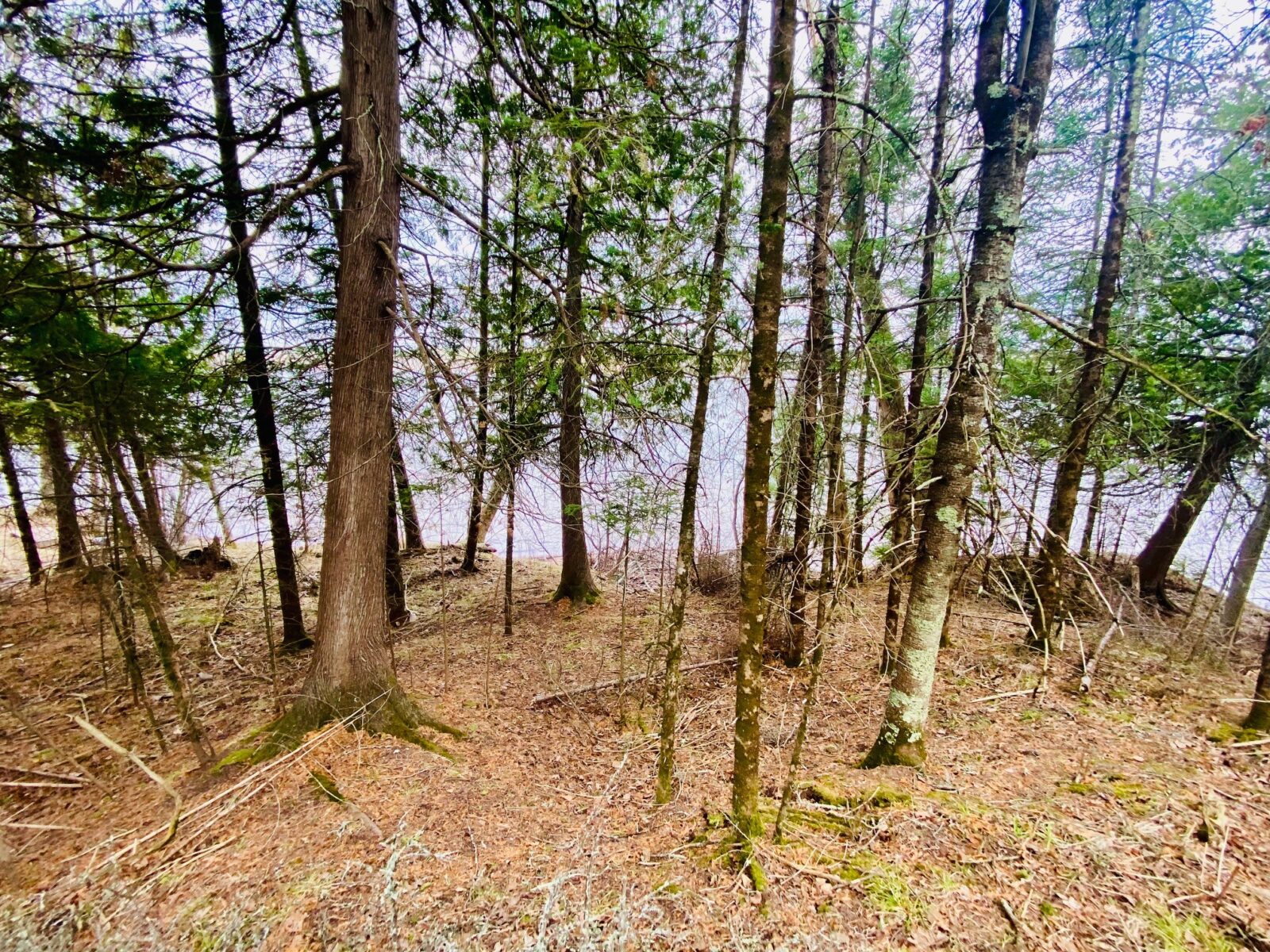 11171 S Engstad Road, Solon Springs, WI — photo 7