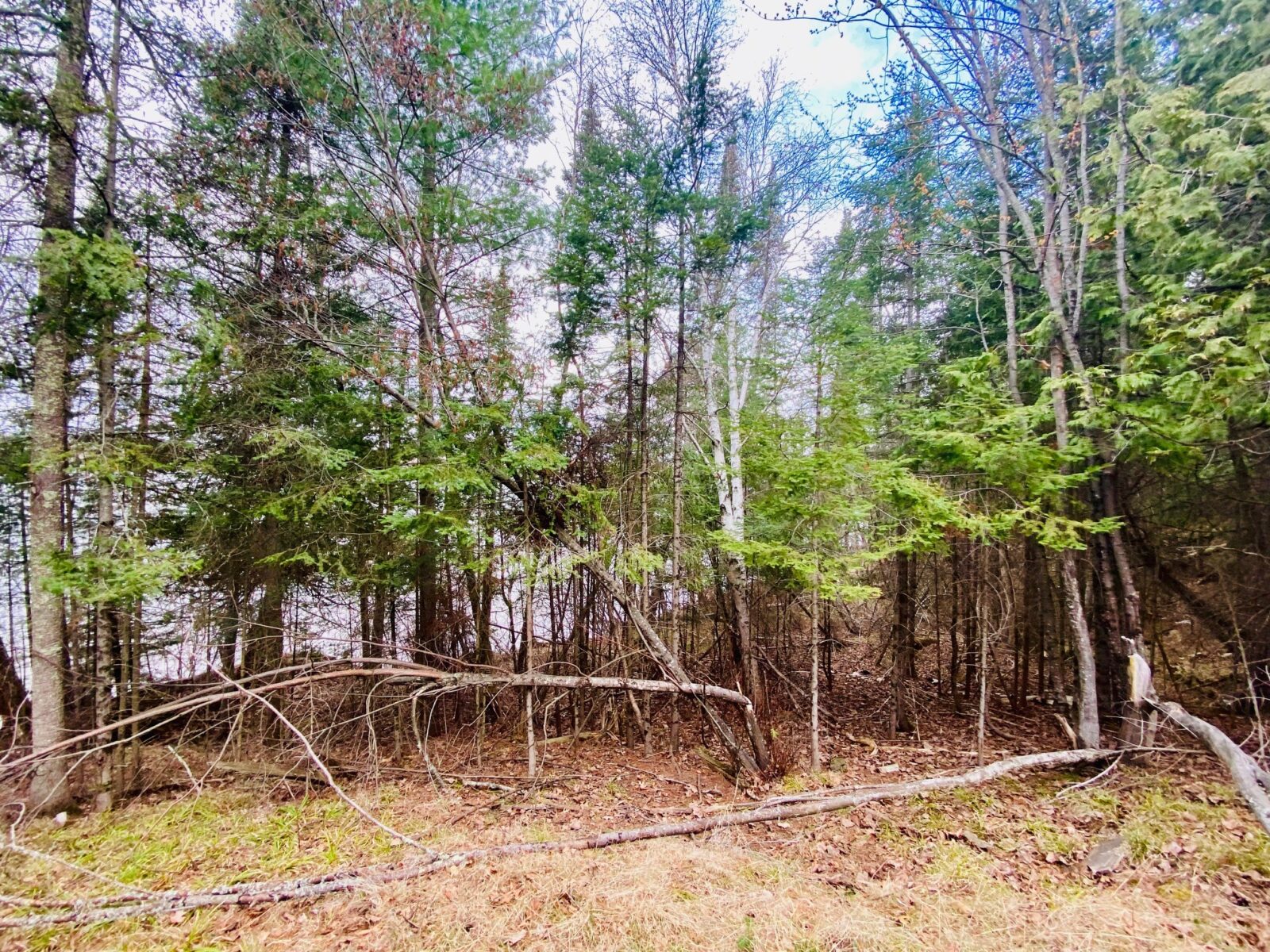 11171 S Engstad Road, Solon Springs, WI — photo 9