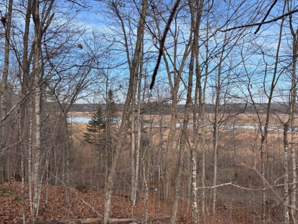 11352N Vasa Road Hayward WI 54843 — photo 1