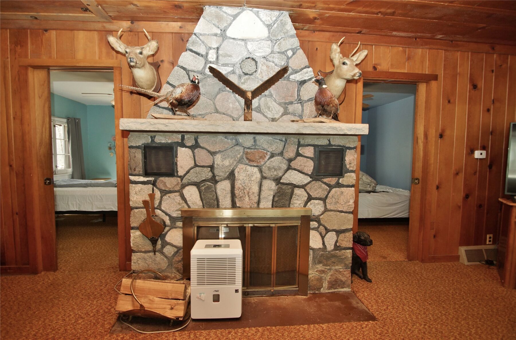 11404 N Farnsworth Road Hayward WI 54843 — photo 16