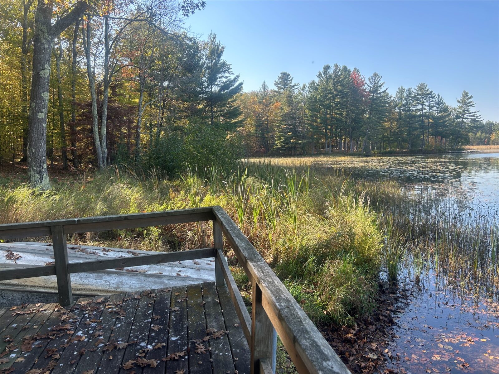 11404 N Farnsworth Road Hayward WI 54843 — photo 23