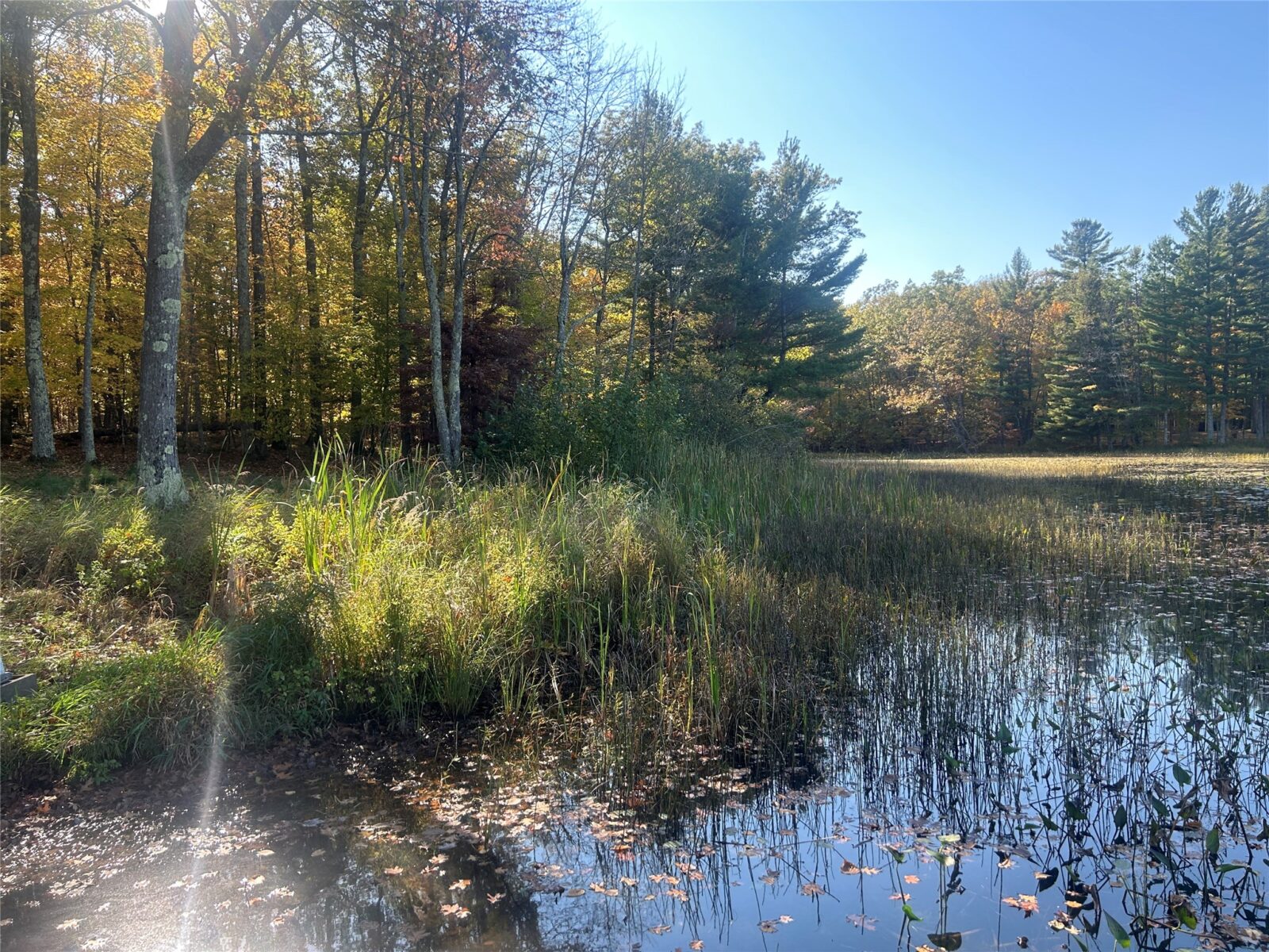 11404 N Farnsworth Road Hayward WI 54843 — photo 25