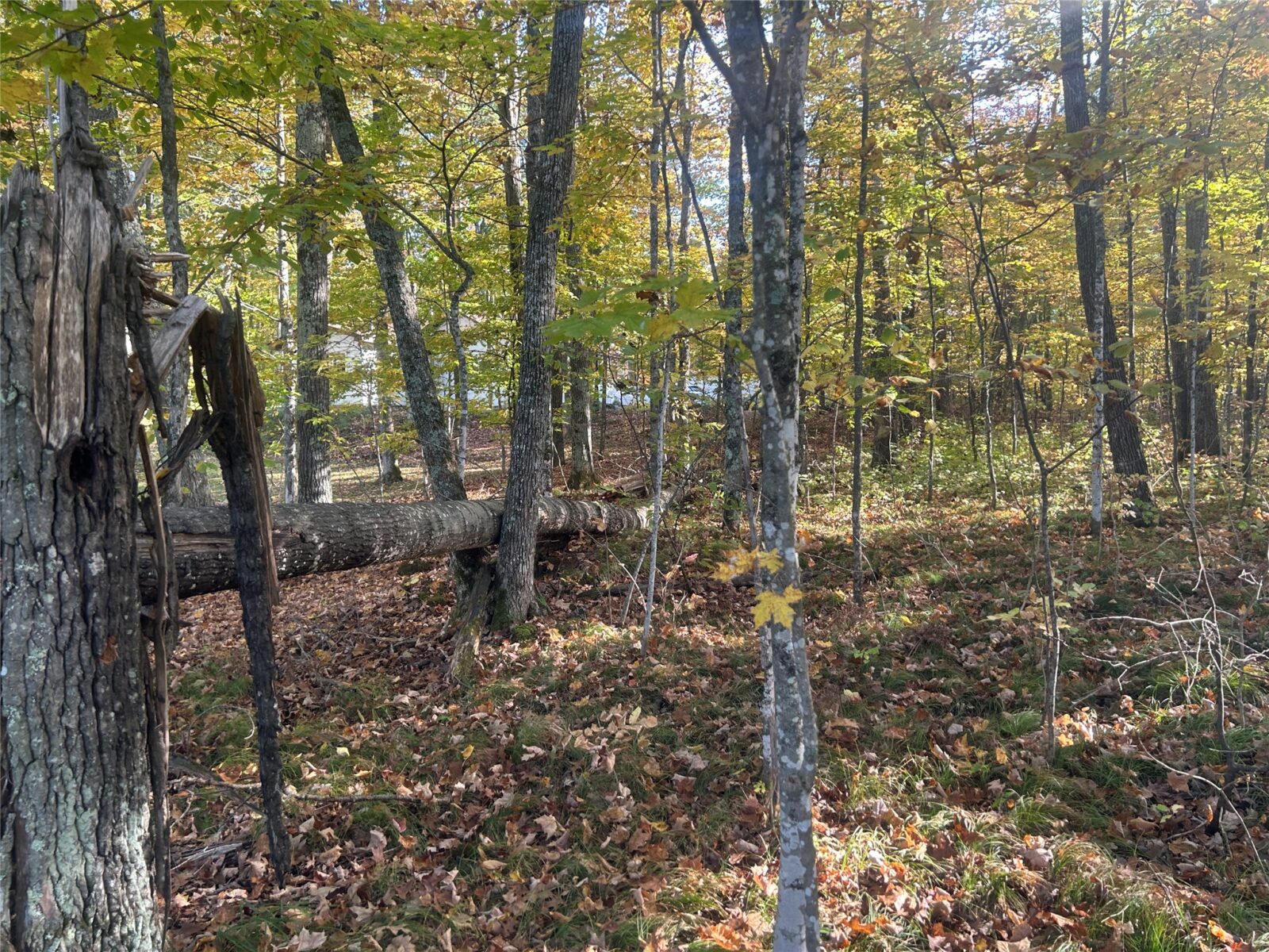 11404 N Farnsworth Road Hayward WI 54843 — photo 28