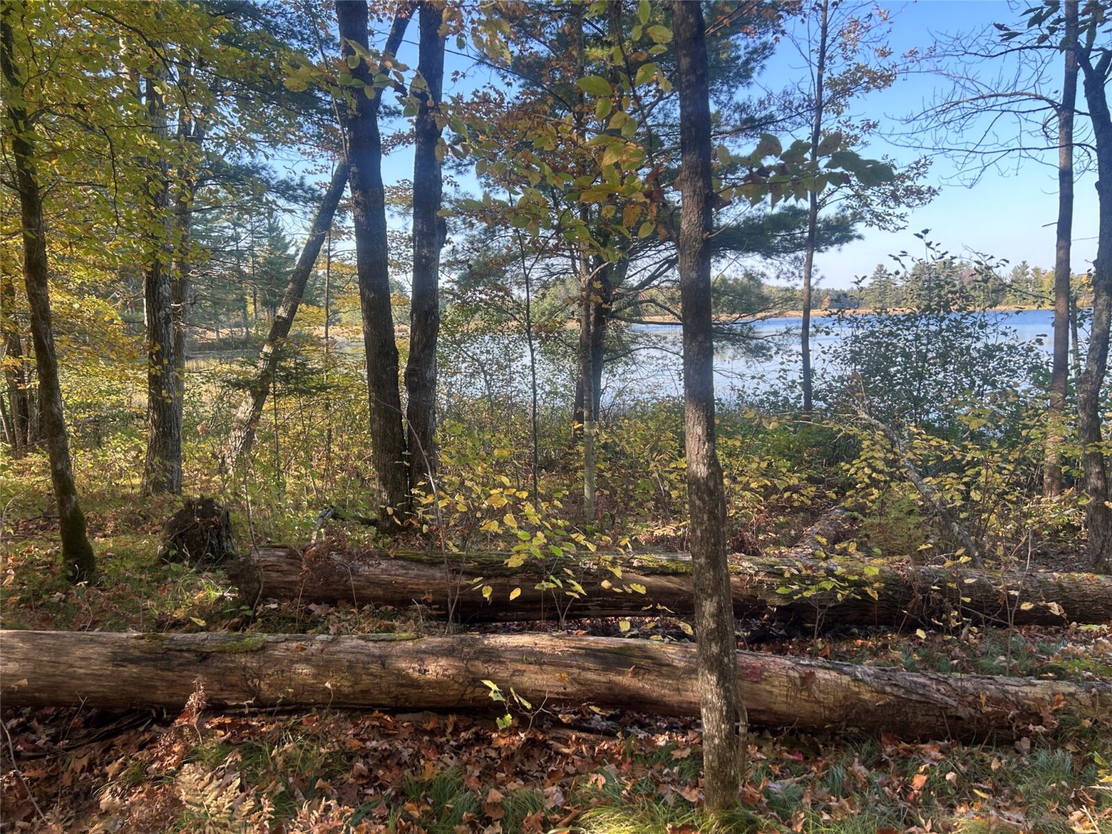 11404 N Farnsworth Road Hayward WI 54843 — photo 29