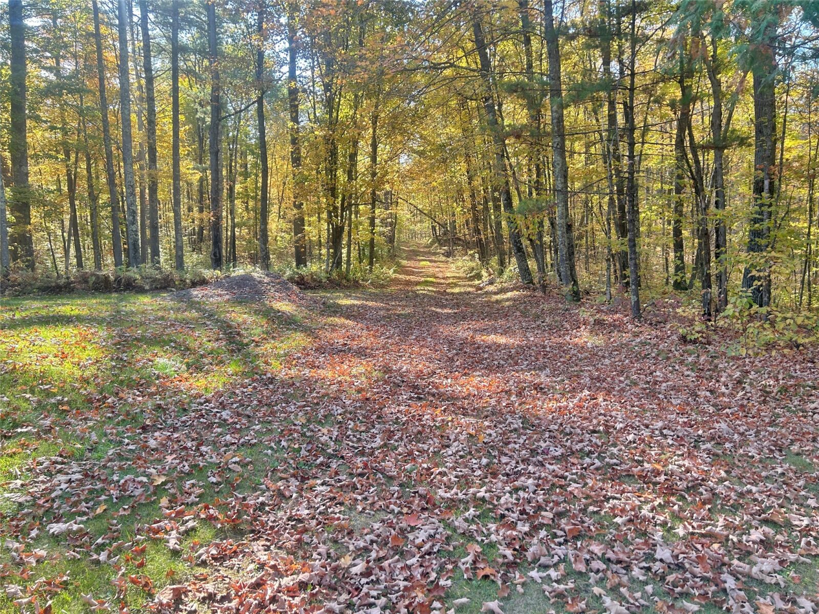 11404 N Farnsworth Road Hayward WI 54843 — photo 32