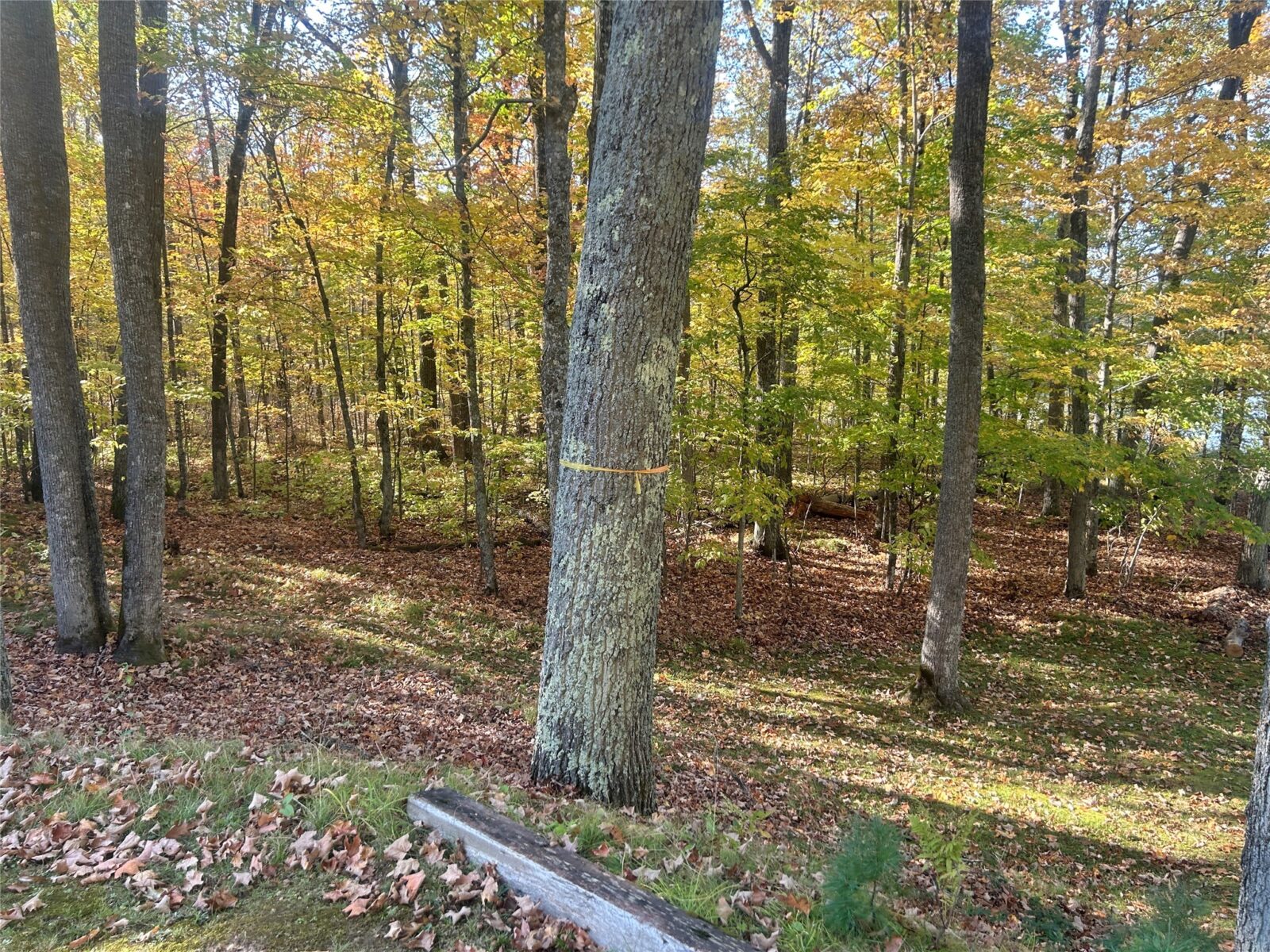 11404 N Farnsworth Road Hayward WI 54843 — photo 6