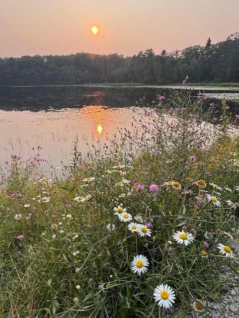 Residential at 11495 Tiger Cat Road, Hayward, WI 54843 — photo 19