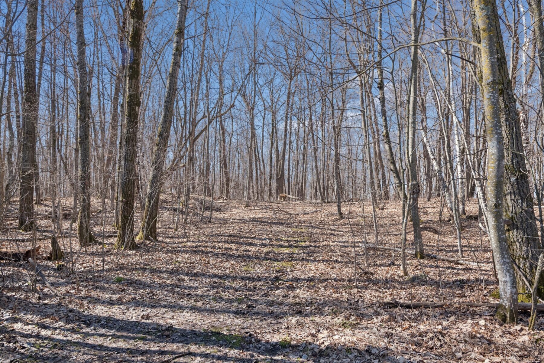 1166 315th Avenue, Frederic, WI — photo 32