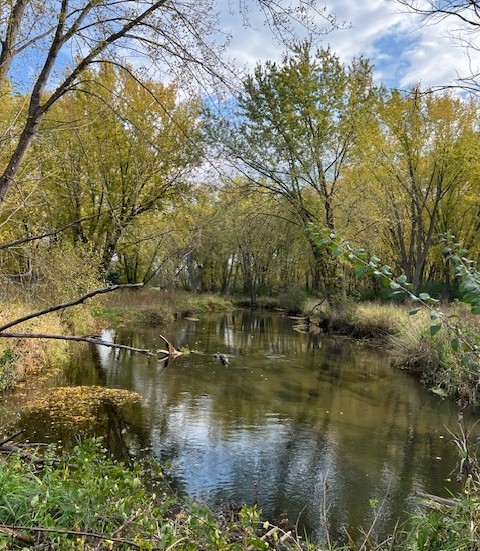 Farm at 1171 30th Avenue, River Falls, WI 54022 — photo 27