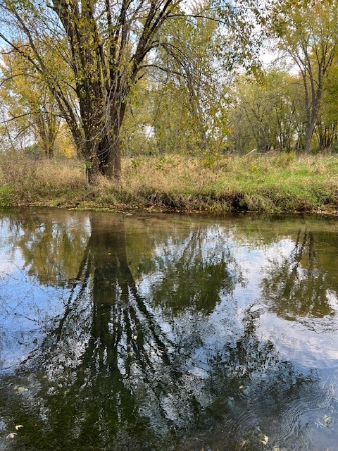 Farm at 1171 30th Avenue, River Falls, WI 54022 — photo 4