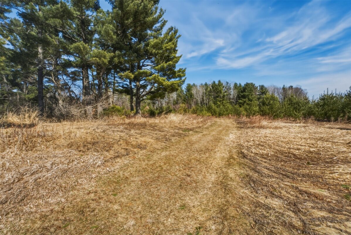 Residential at 12095 County Highway Ee, Cadott, WI 54727 — photo 22