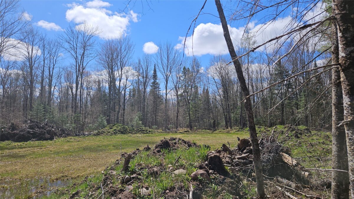 12331 W Delap Lane, Couderay, WI — photo 12