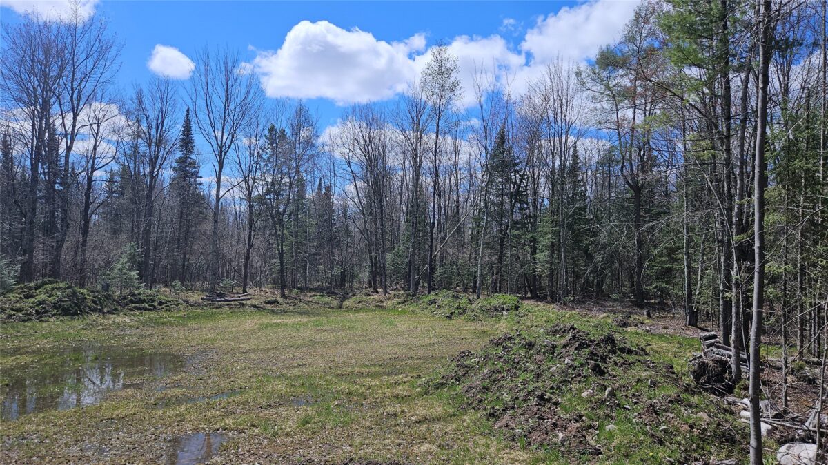 12331 W Delap Lane, Couderay, WI — photo 13