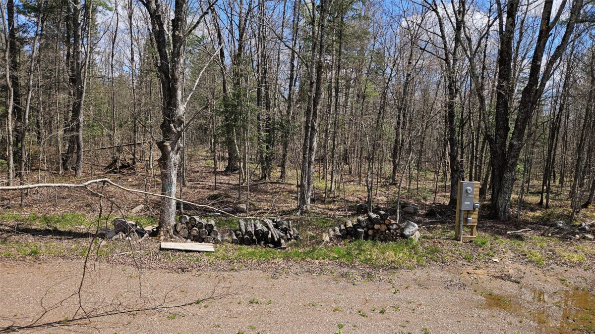 12331 W Delap Lane, Couderay, WI — photo 14