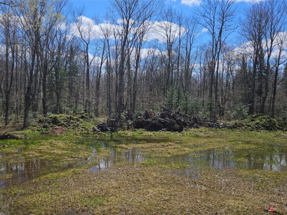 12331 W Delap Lane, Couderay, WI