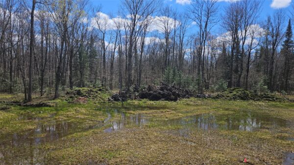 Landhouse for sale picture with an address of  12331 Delap Lane in Couderay and a list price of 52500