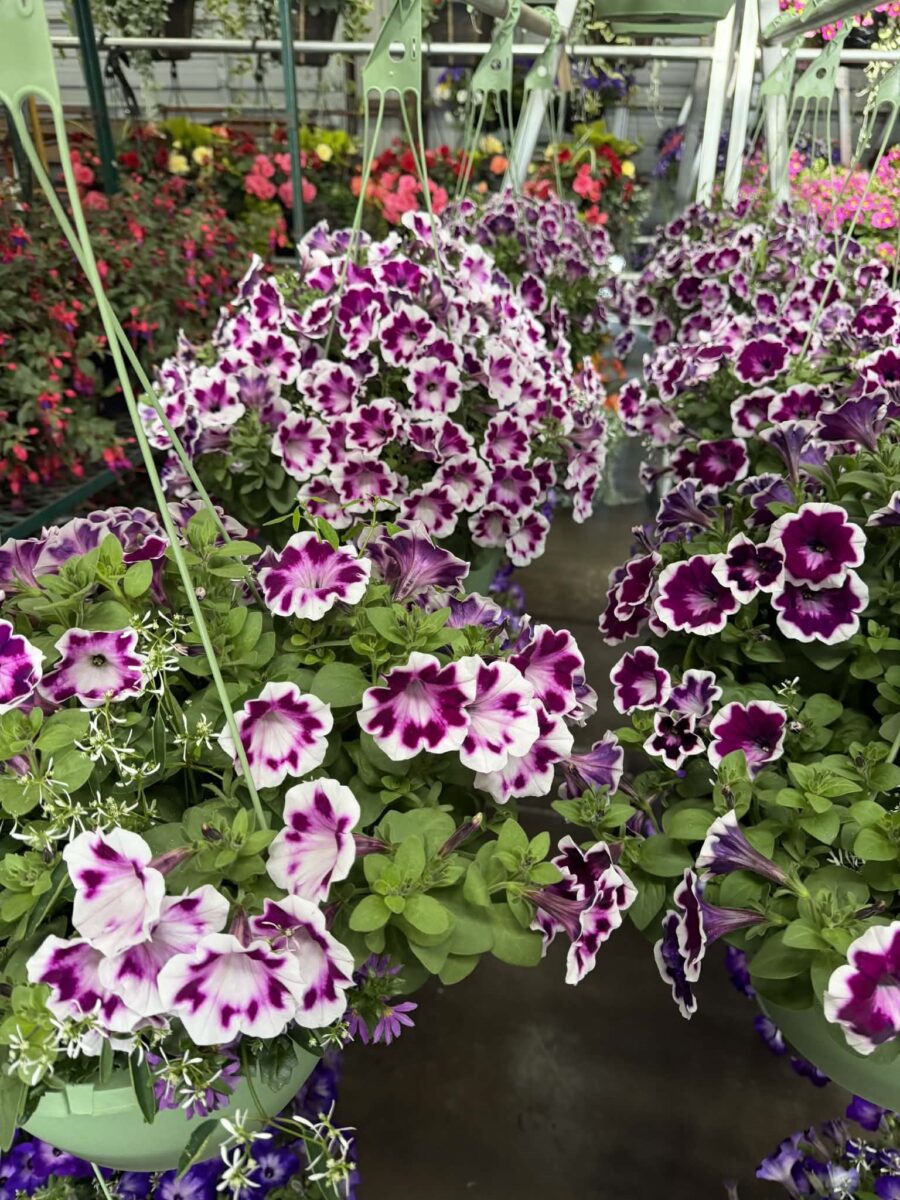 12524 Frontage Road Osseo WI 54758 — photo 39