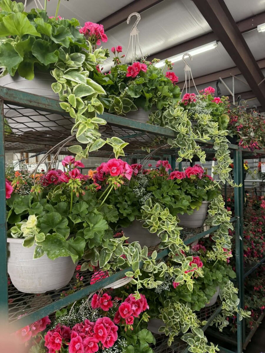 12524 Frontage Road Osseo WI 54758 — photo 40