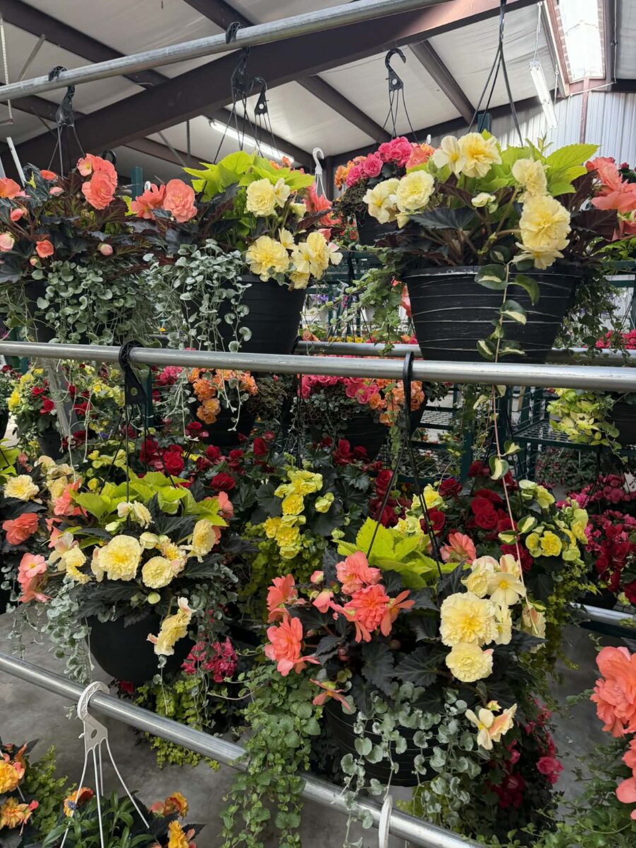 12524 Frontage Road Osseo WI 54758 — photo 42