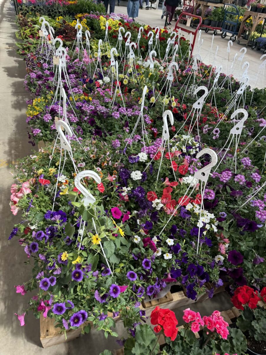 12524 Frontage Road Osseo WI 54758 — photo 44