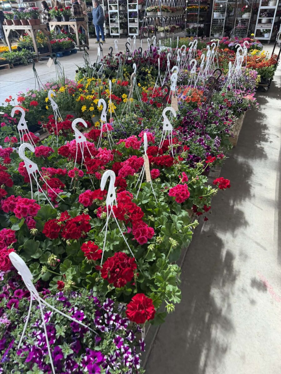 12524 Frontage Road Osseo WI 54758 — photo 45