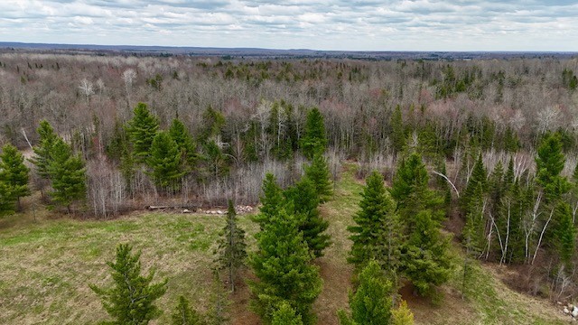 12655 W Atherton Road, Couderay, WI — photo 10