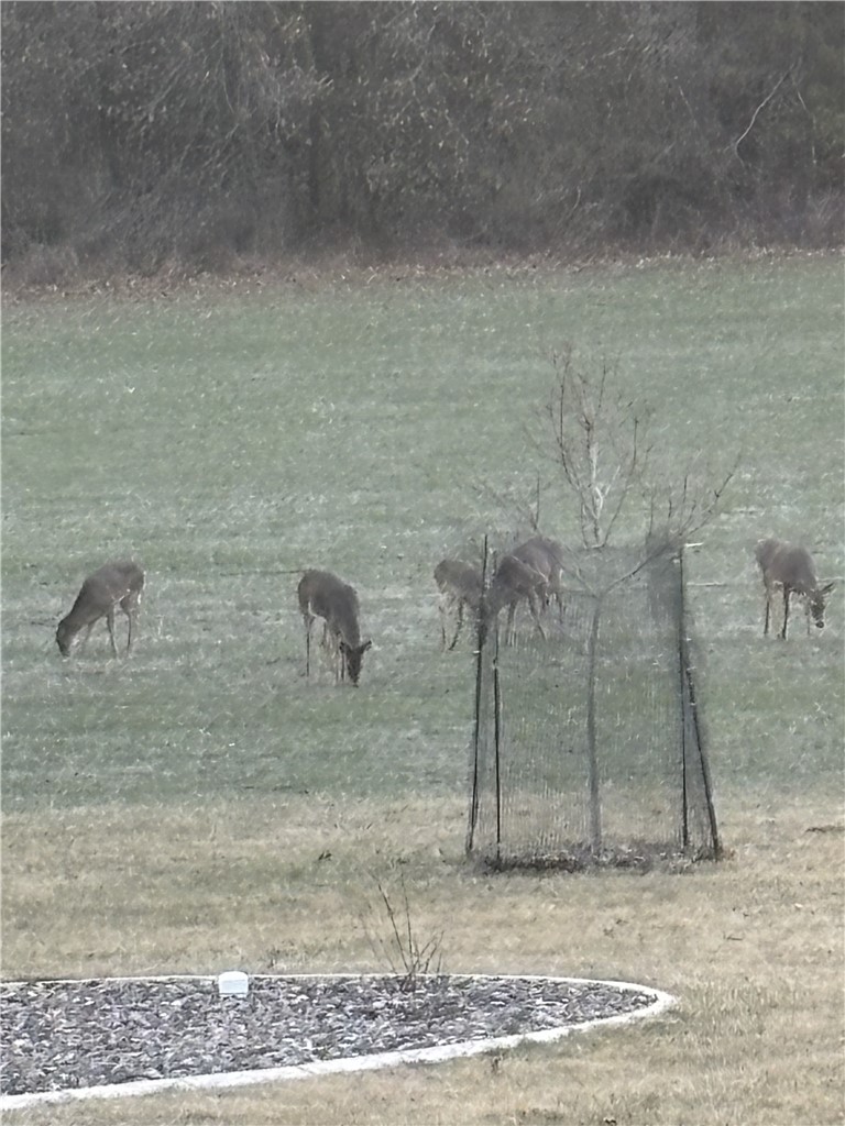 Residential at 1290 Pleasant Hill Road, Eau Claire, WI 54703 — photo 9