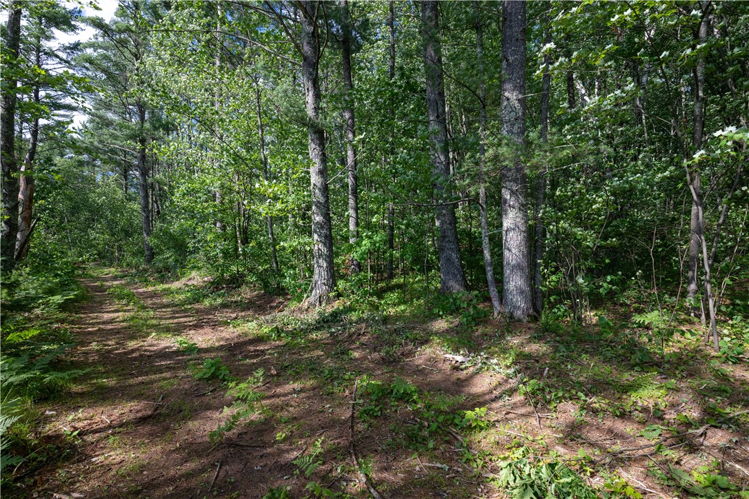 Residential at 12915W Preserve Road, Hayward, WI 54843 — photo 18