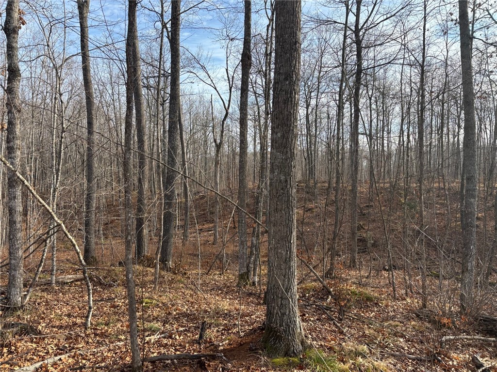 Residential at 12915W Preserve Road, Hayward, WI 54843 — photo 20