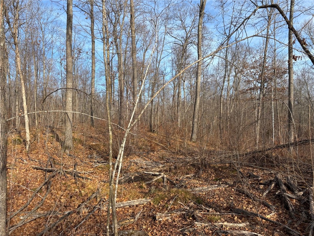 Residential at 12915W Preserve Road, Hayward, WI 54843 — photo 21