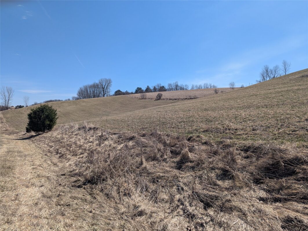 1310 Valley Estates Road Mondovi WI 54755 — photo 2