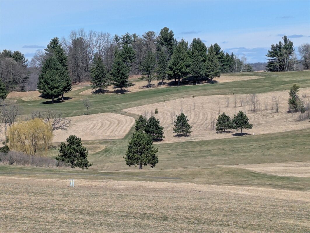 1310 Valley Estates Road Mondovi WI 54755 — photo 5