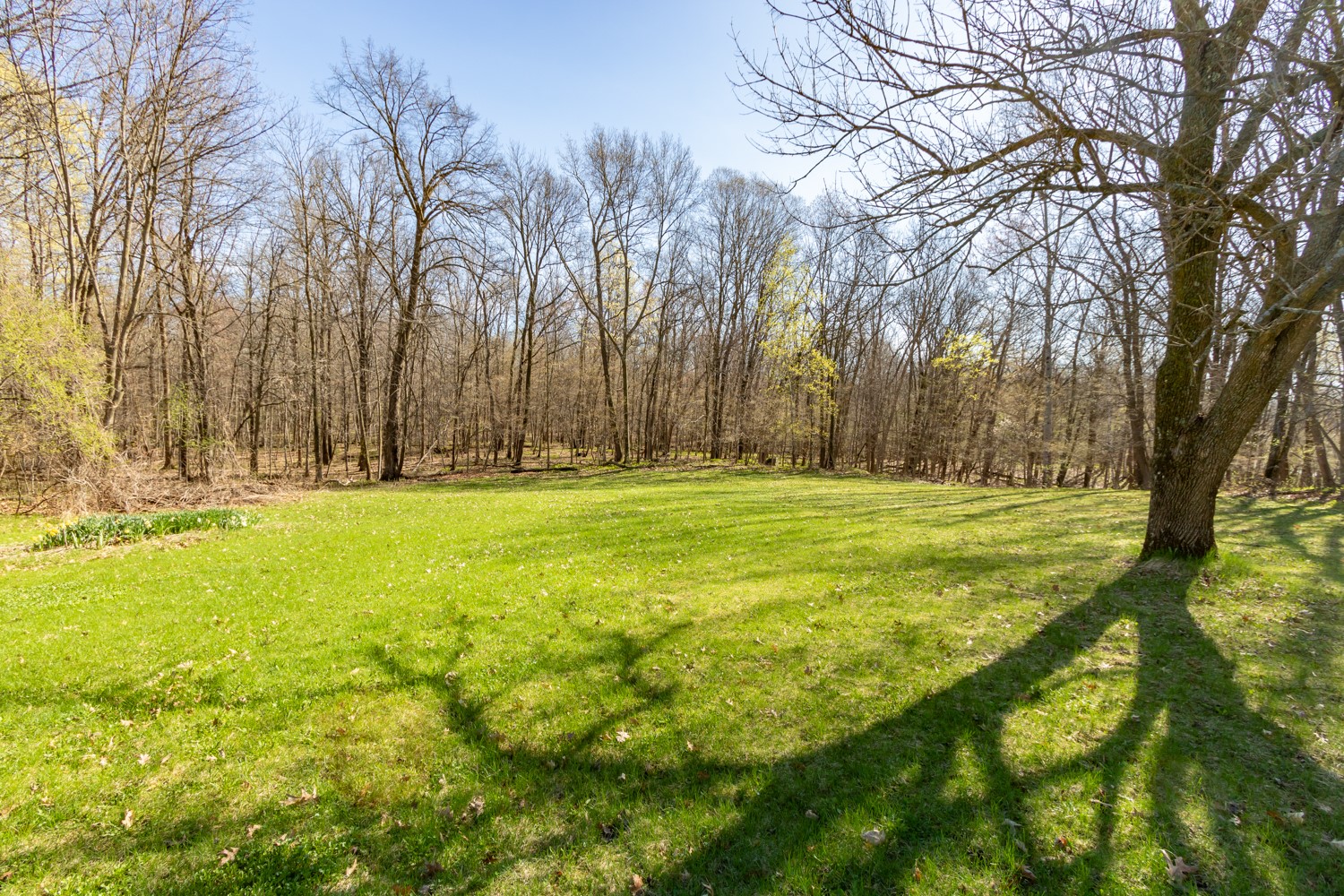 1343 165th Avenue Balsam Lake WI 54810 — photo 25