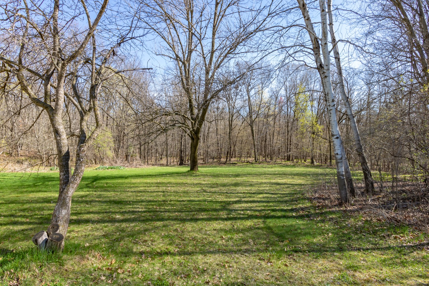 1343 165th Avenue Balsam Lake WI 54810 — photo 26